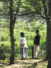穏やかな時間