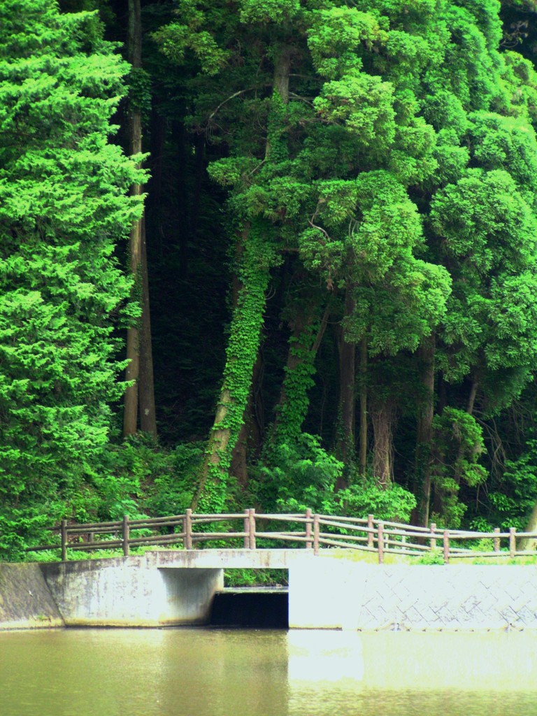 橋1