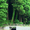 橋1