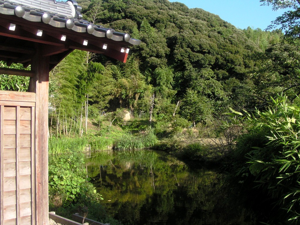 2010-08-06 お寺6