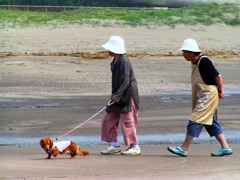 2010-06-25 九十九里浜6