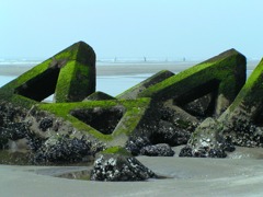 2010-06-25 九十九里浜5（波消しブロック）