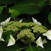 2010-05-30 東金39