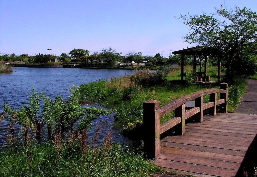 2010-05-13　九十九里町　宮島親水公園22