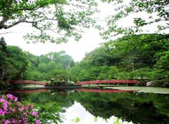 2010-05-11　茂原公園　05