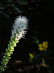 P1010023