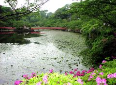 2010-05-11　茂原公園　02