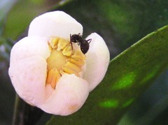 P2020027