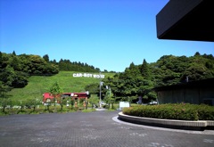 auW61CA CAR-BOY WOOD