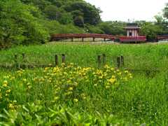 2010-05-25 茂原公園　46