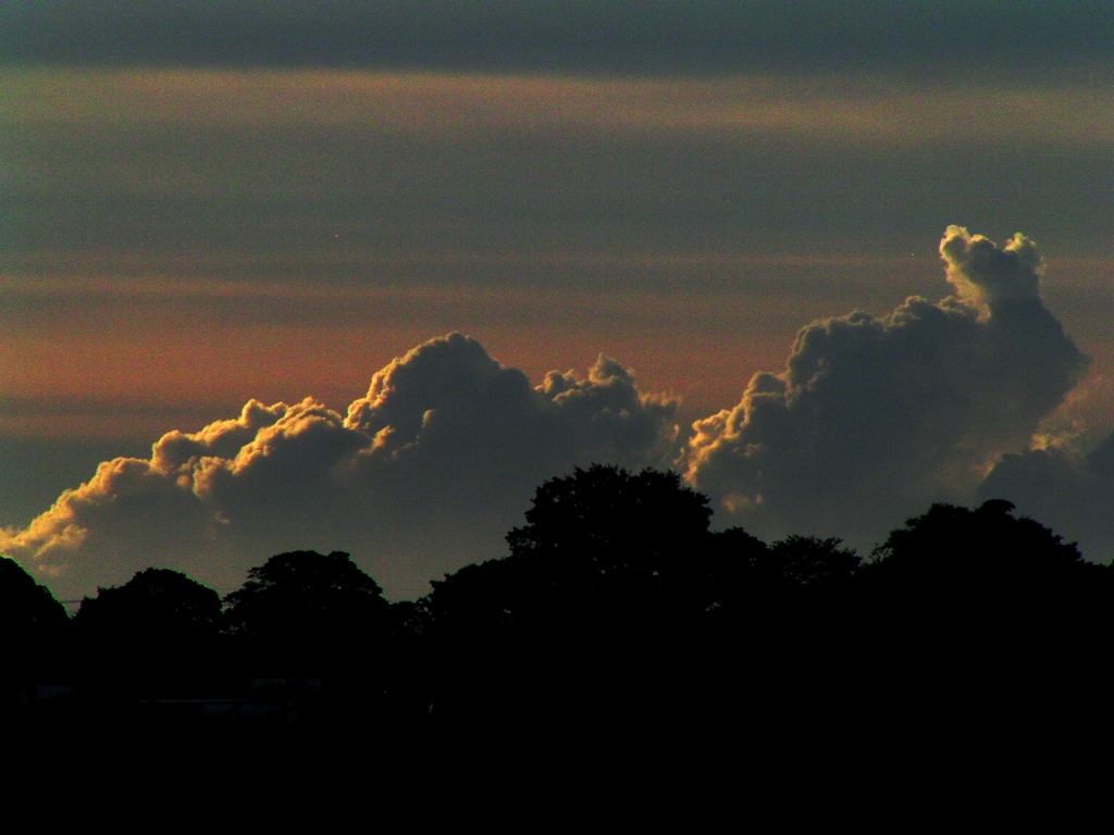 2010-07-29 雲3