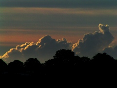 2010-07-29 雲3