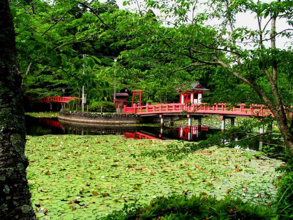 2010-05-25 茂原公園　2