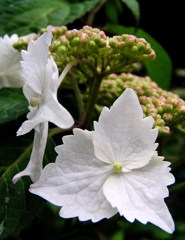 2010-05-30 東金41