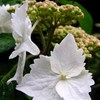 2010-05-30 東金41