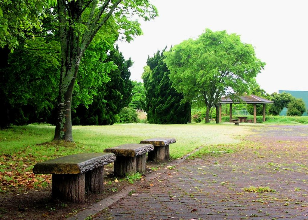 2010-05-12 長生郡　尼ヶ台総合公園15