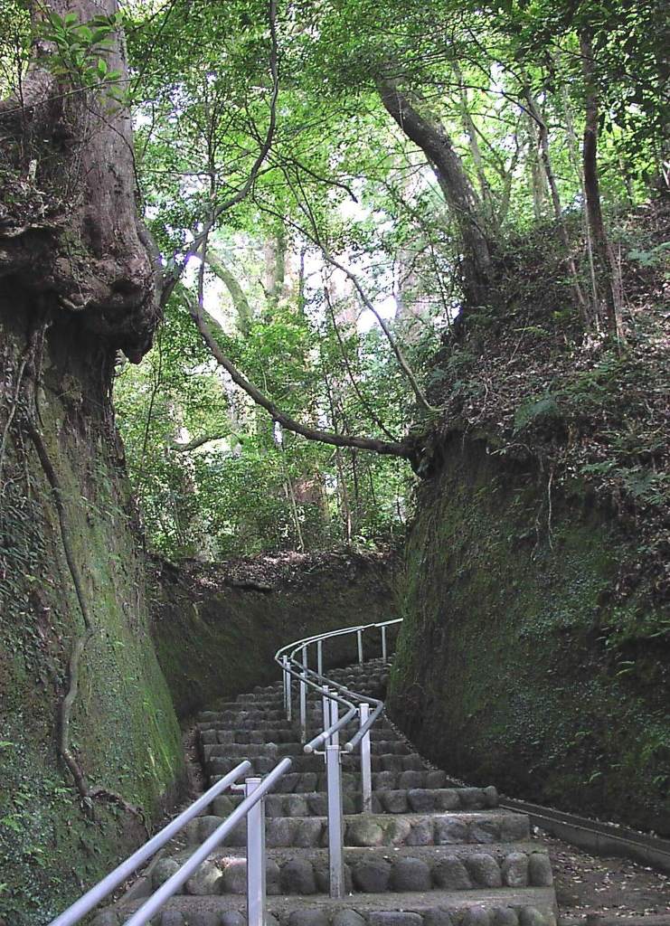 2010-05-16 長生郡長南町 笠森観音02