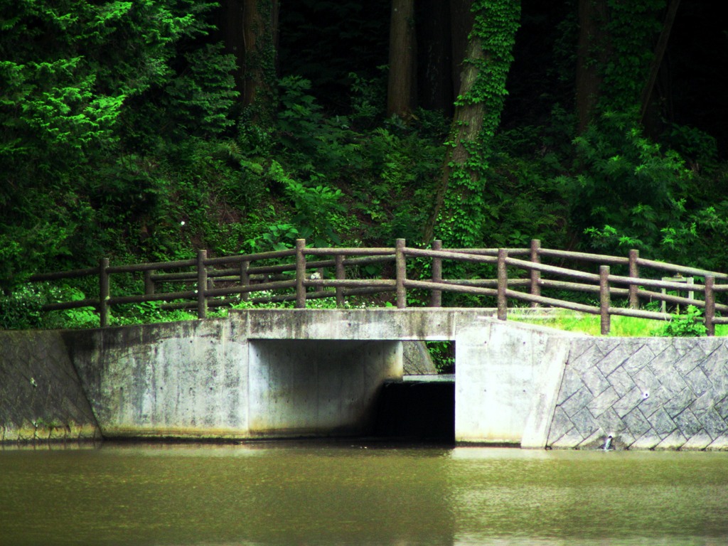 橋2