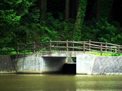 橋2