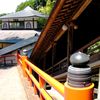 2010-06-04 東金市八鶴湖周辺17