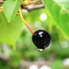 2010-06-05 チェリー2