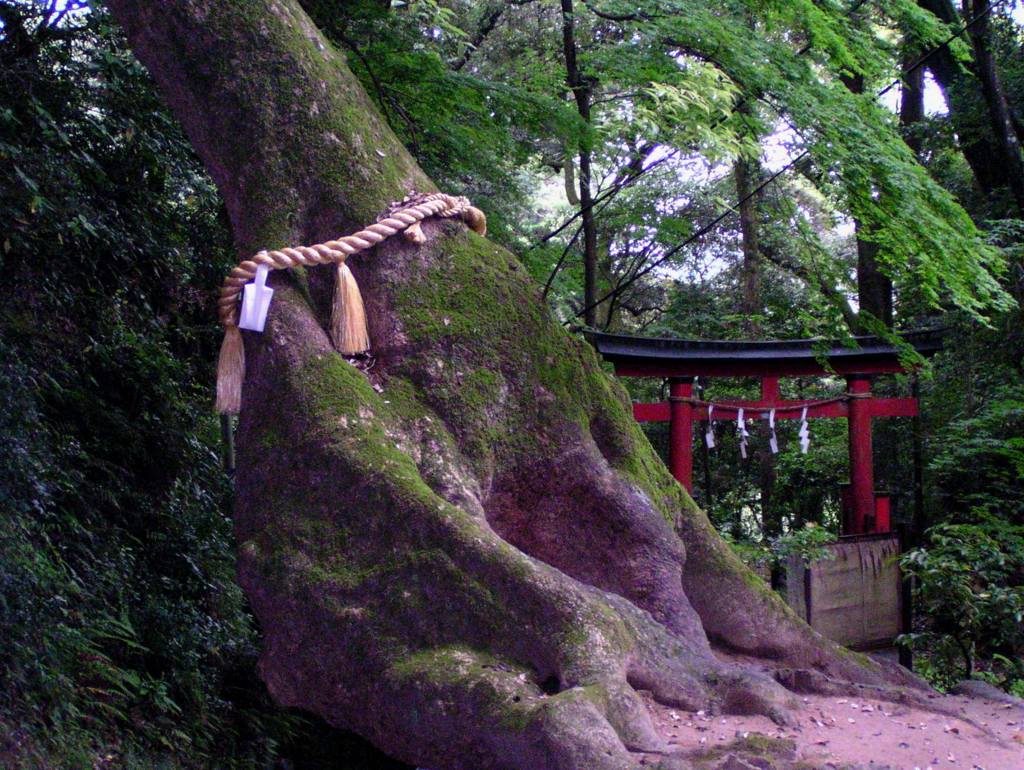 2010.6.9 笠森観音(千葉県長生郡長南町）1