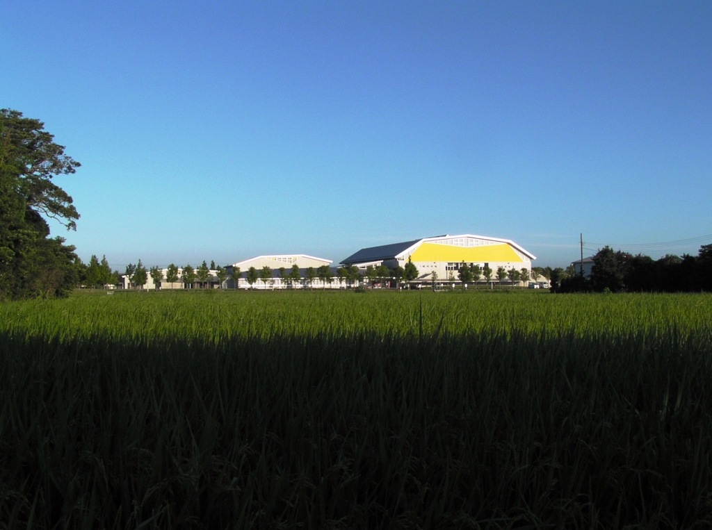 2010-08-06 アリーナ