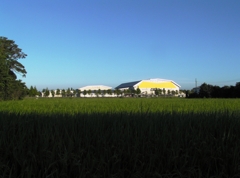 2010-08-06 アリーナ