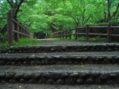 2010-06-29茂原公園04