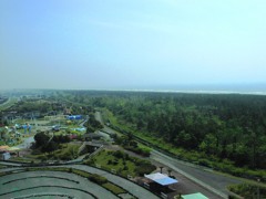 2010-05-17 蓮沼海浜公園09