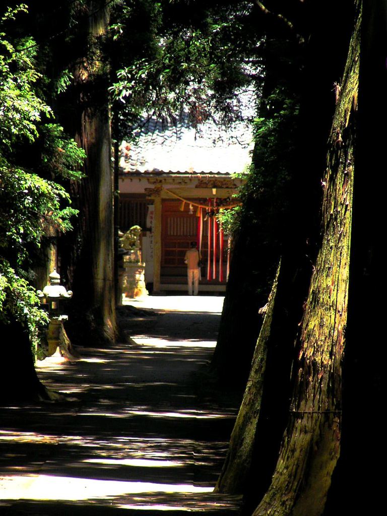 日吉神社　3　（お参り）