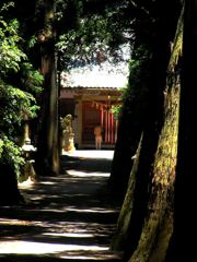 日吉神社 3 (お参り)