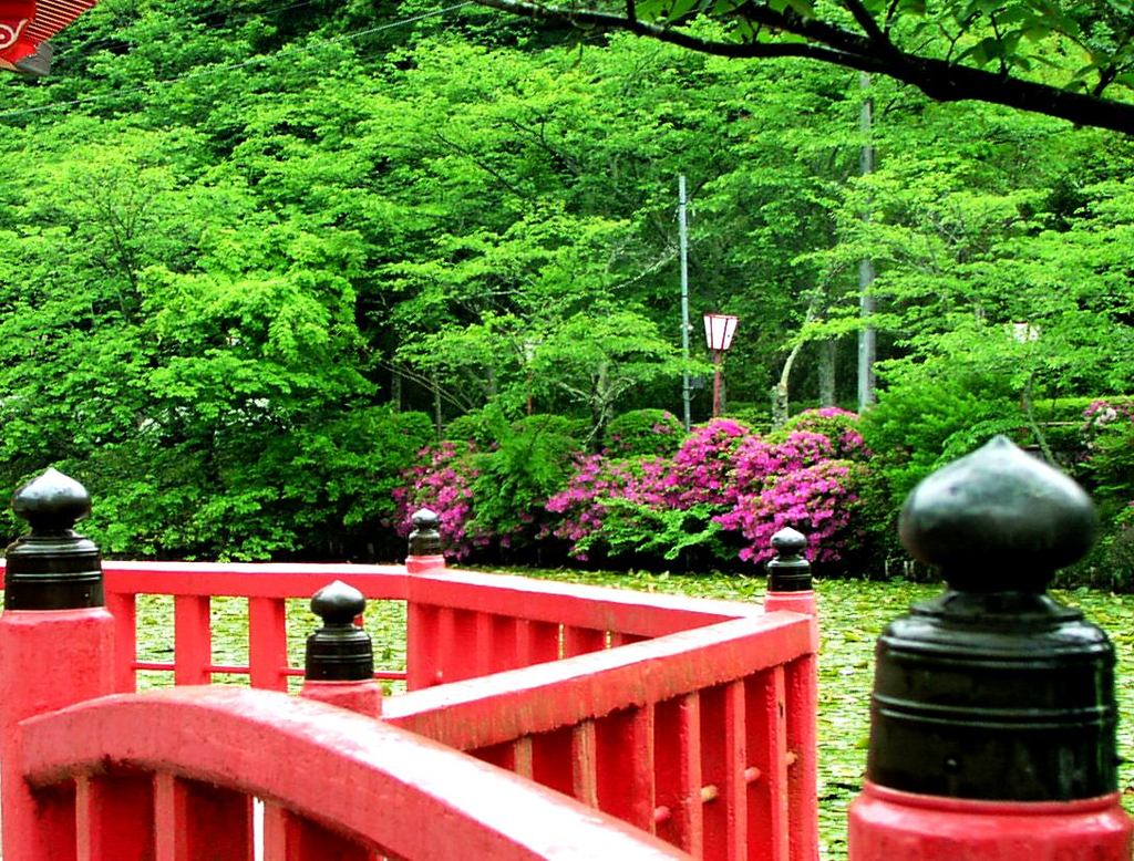 2010-05-11　茂原公園　18