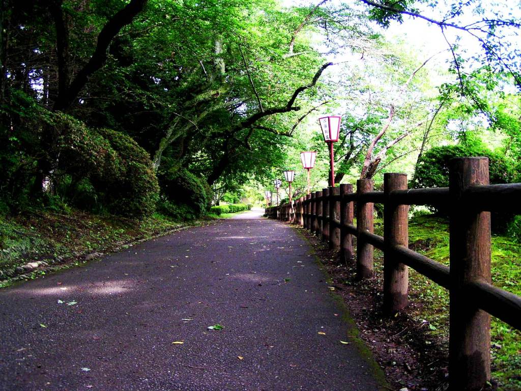 2010-05-25 茂原公園　41