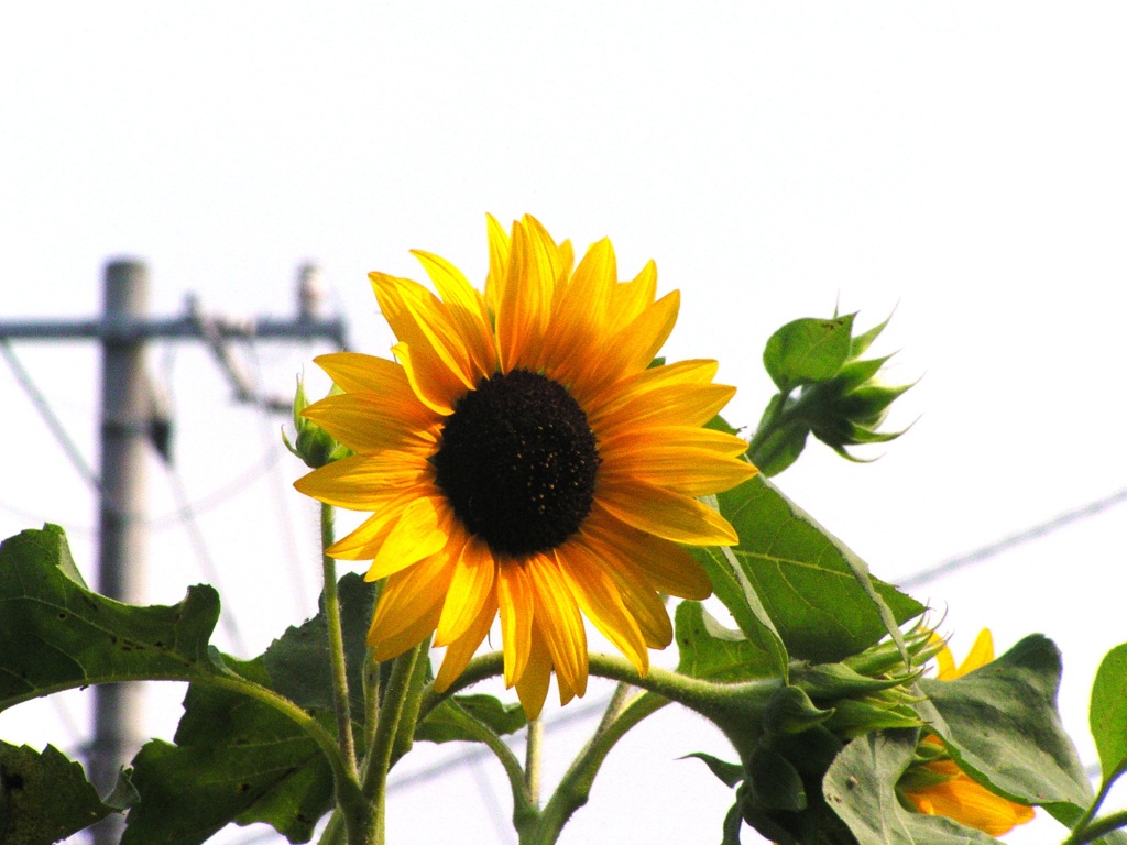 2010-08-01 (1)