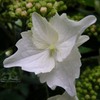 2010-05-30 東金40