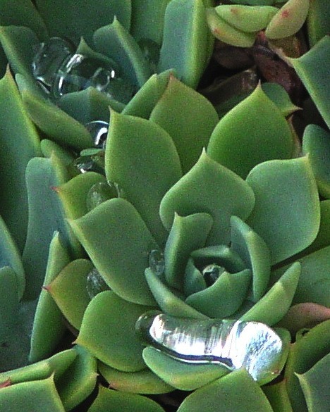 P1010016