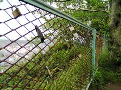 2010-05-30 東金13
