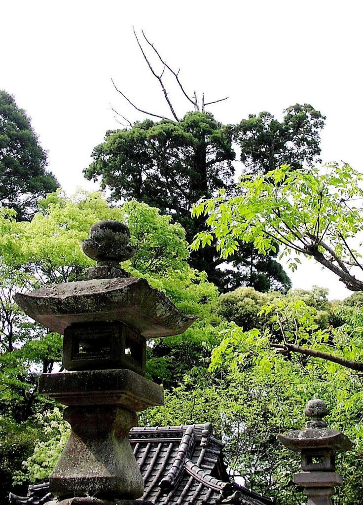 2010-05-16 長生郡長南町 笠森観音11