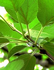 2010-05-27隣近所6