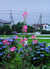 P1010004