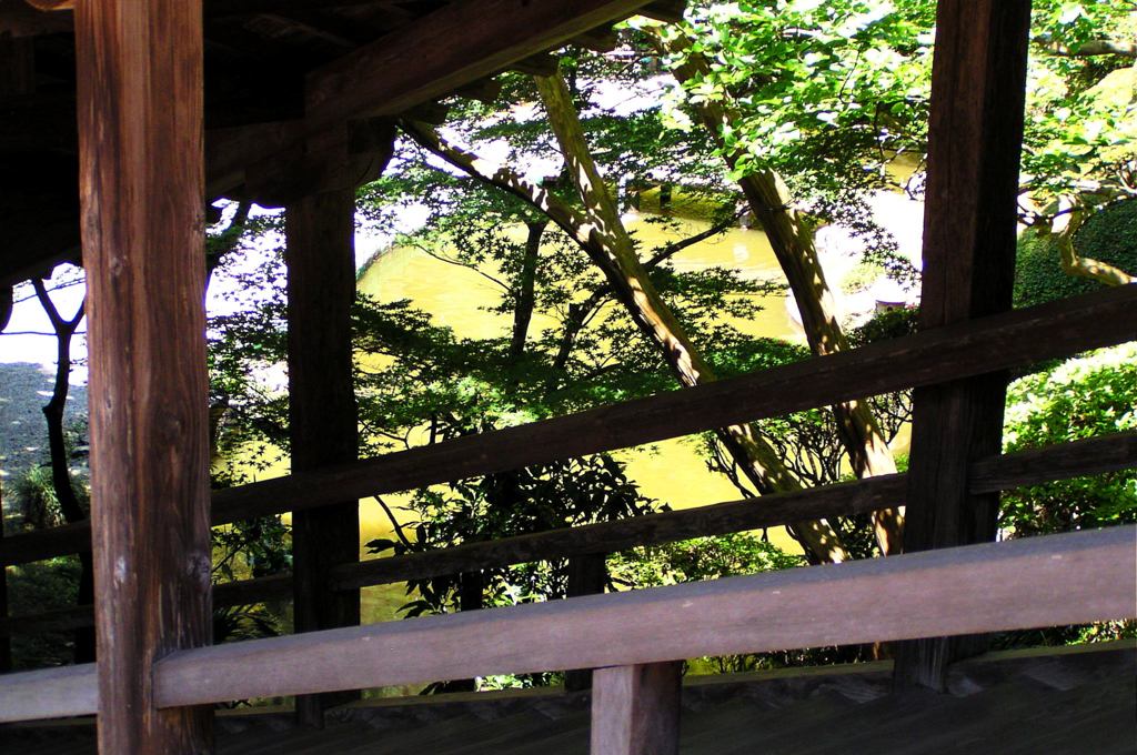 2010-06-04 東金市八鶴湖周辺18