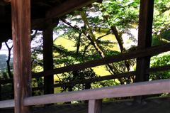 2010-06-04 東金市八鶴湖周辺18
