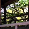 2010-06-04 東金市八鶴湖周辺18