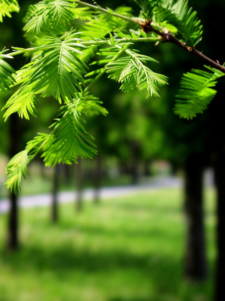 2010-05-09林並木