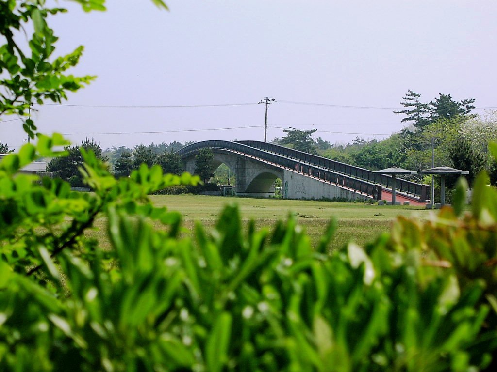 2010-05-17 蓮沼海浜公園23