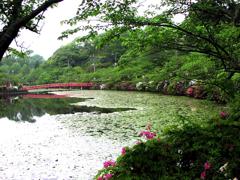 2010-05-11　茂原公園　03