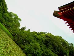 2010-05-25 茂原公園　27