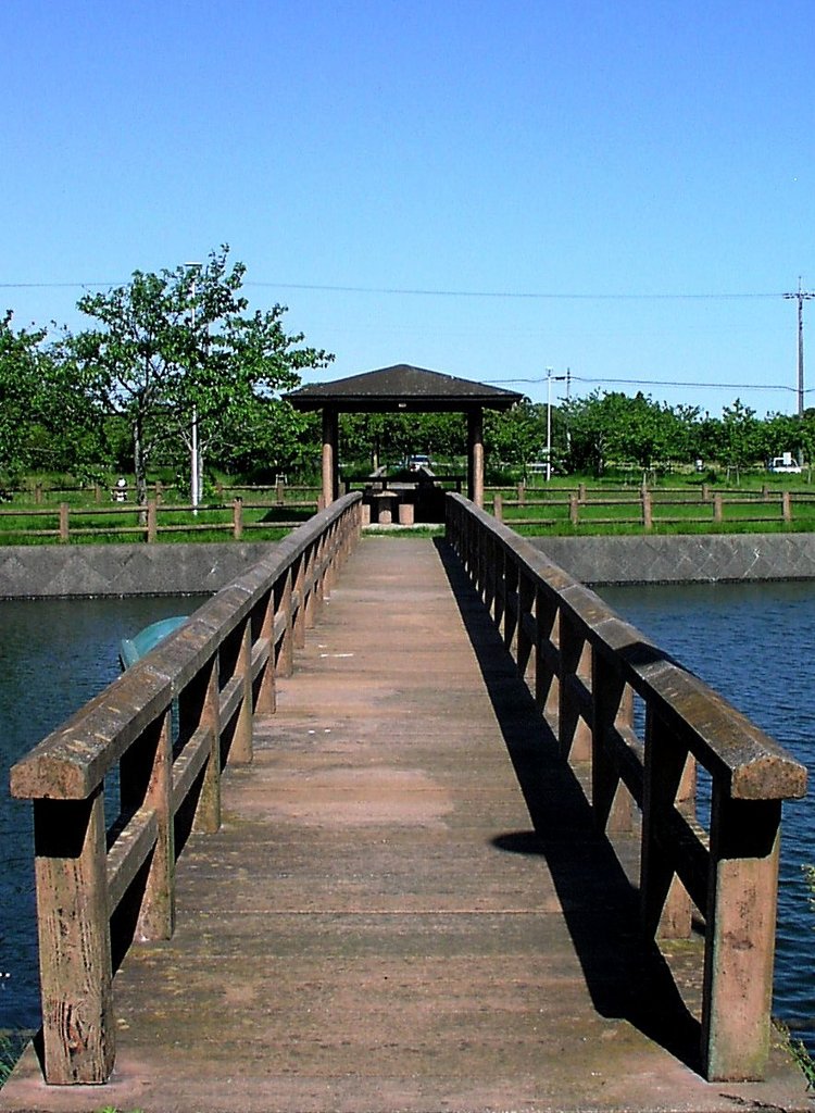 2010-05-13　九十九里町　宮島親水公園23