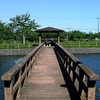 2010-05-13　九十九里町　宮島親水公園23